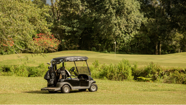 Easy Maintenance Tips for Mobile Golf Cart Batteries